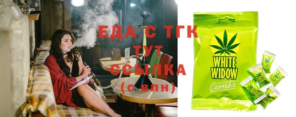 spice Дмитриев