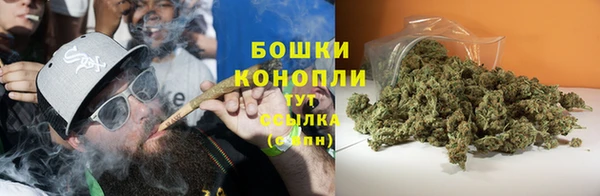 гидра Дмитровск