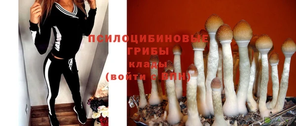крисы Дмитров