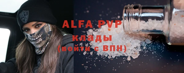 spice Дмитриев
