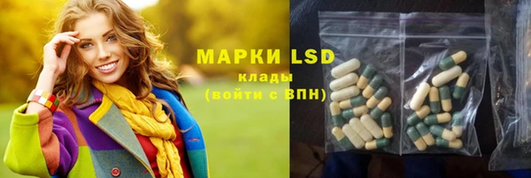 spice Дмитриев