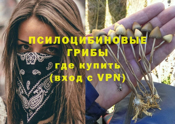 гидра Дмитровск