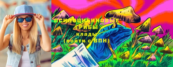 гидра Дмитровск