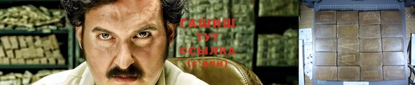 крисы Дмитров