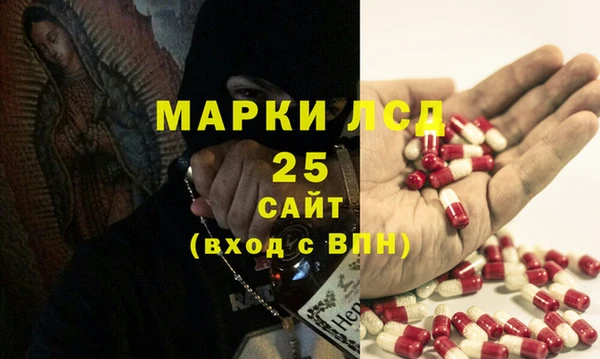 spice Дмитриев