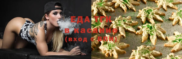spice Дмитриев
