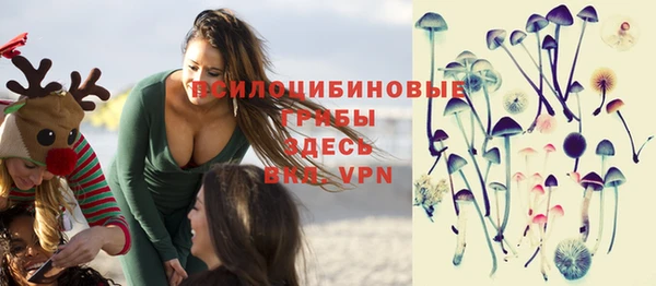 spice Дмитриев
