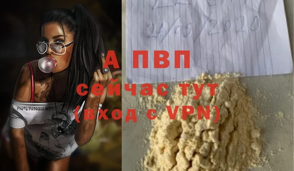 spice Дмитриев