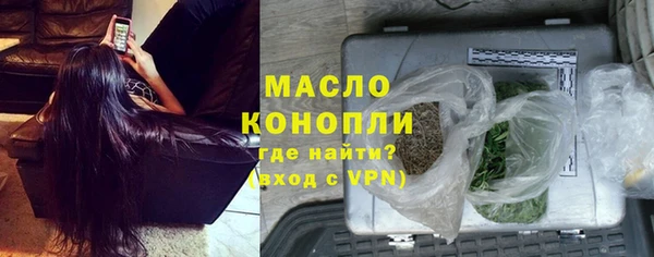 spice Дмитриев