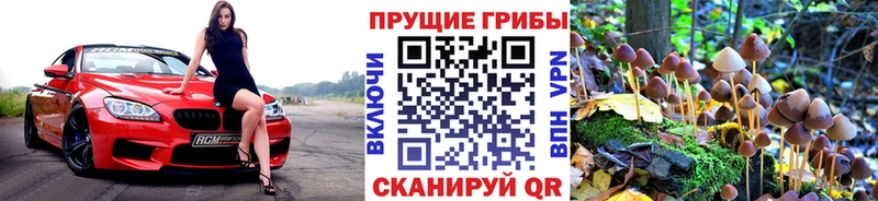 Псилоцибиновые грибы GOLDEN TEACHER  Полесск 